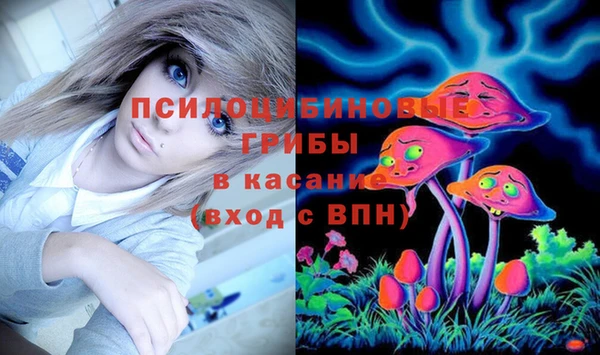 mdpv Арсеньев