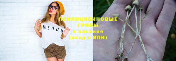 альфа пвп Армянск