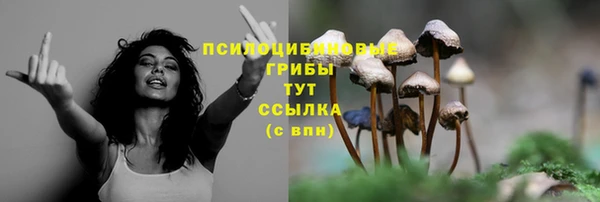 альфа пвп Армянск