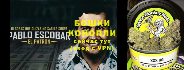 mdpv Арсеньев
