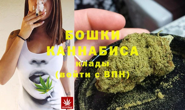 стафф Козловка