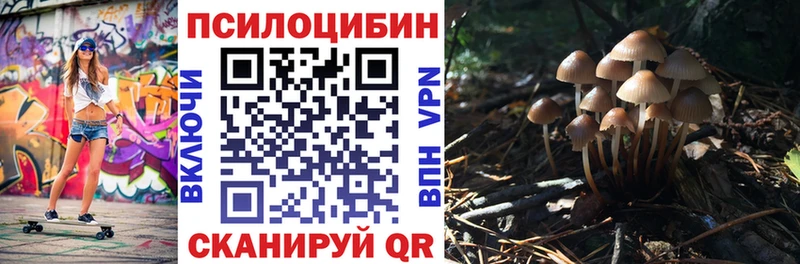 Псилоцибиновые грибы GOLDEN TEACHER  Белогорск 