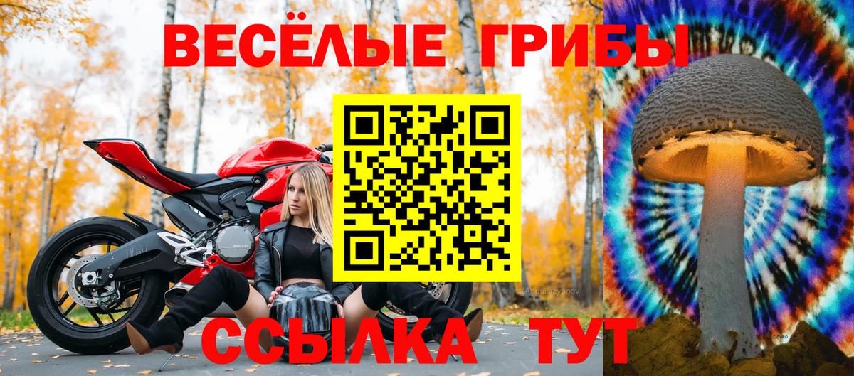 Галлюциногенные грибы мицелий  Вход с VPN  Псилоцибиновые грибы ЛСД  Белогорск 